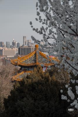 景山公园
