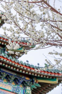 景山公园