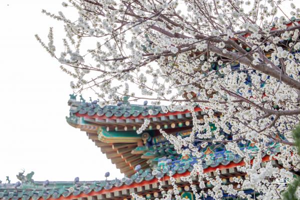 景山公园