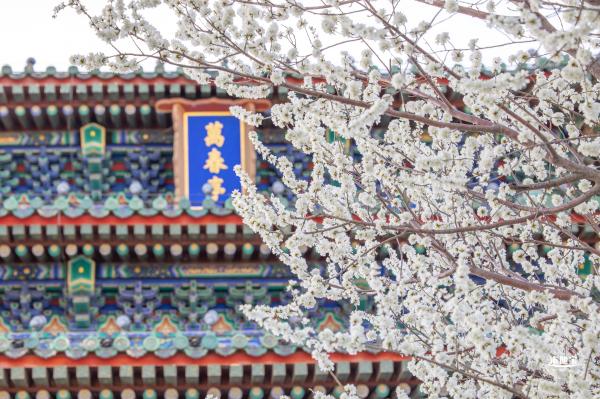 景山公园