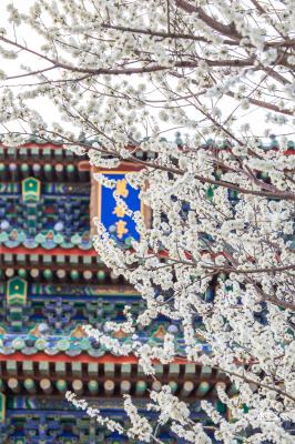 景山公园
