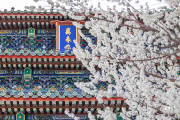 景山公园