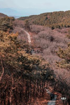 密云水库