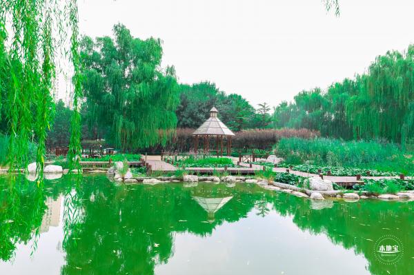 北小河公园