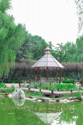 北小河公园