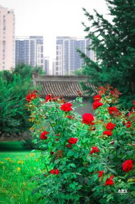 北小河公园