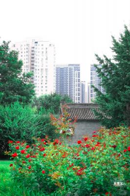 北小河公园