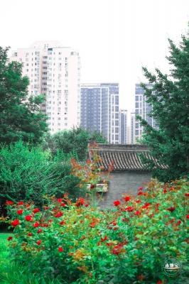 北小河公园