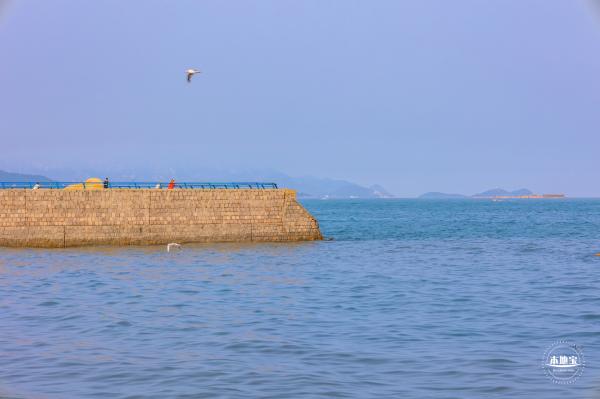 青岛的海