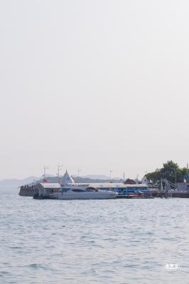 青岛的海