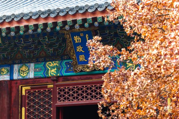 香山公园