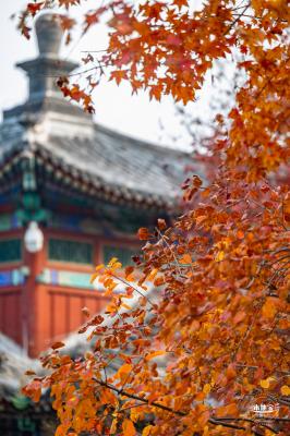 香山公园