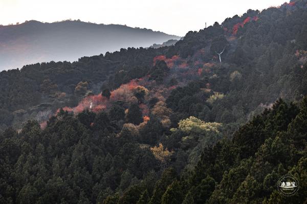 香山公园