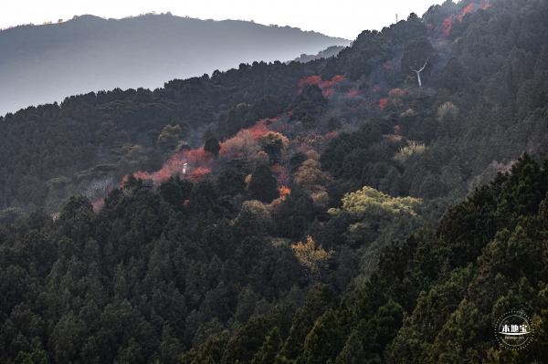 香山公园