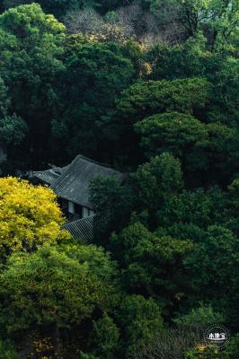 香山公园
