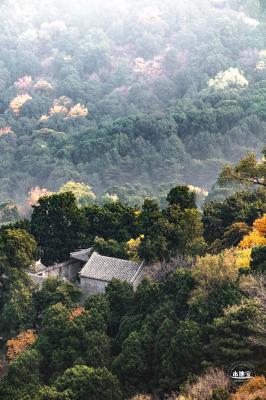 香山公园