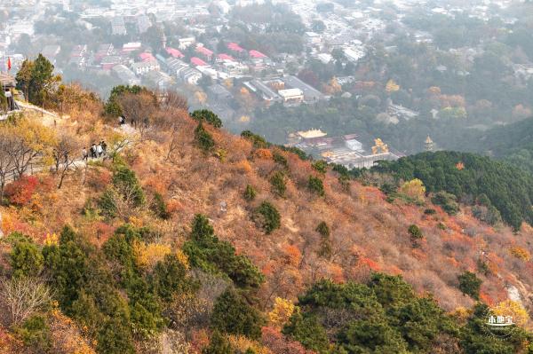 香山公园