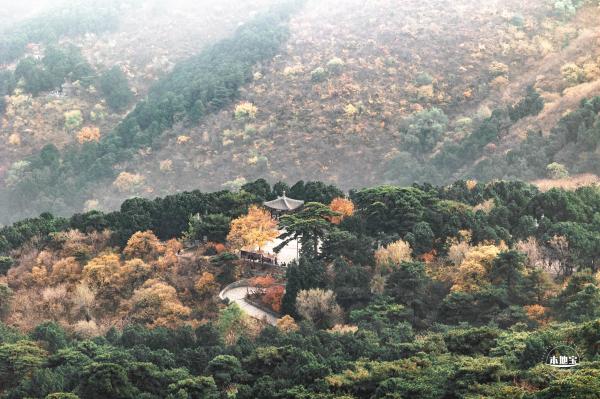香山公园