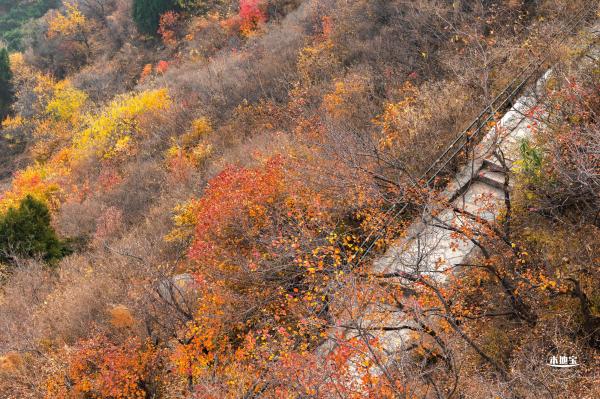 香山公园