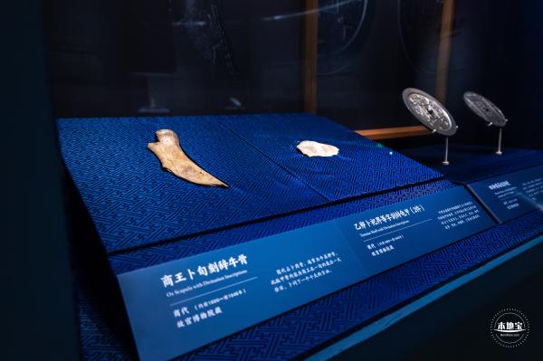 和合共生展览