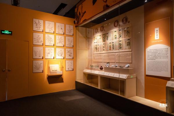 中国古代餐饮文化展览