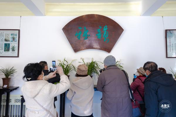 中山公园花展