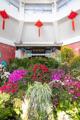 中山公园花展