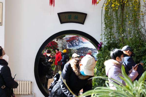 中山公园花展