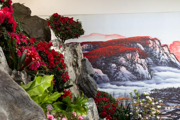 中山公园花展