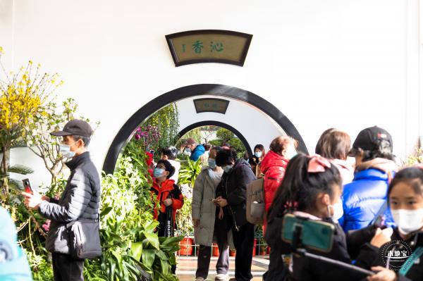 中山公园花展