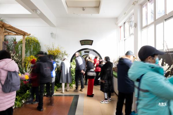 中山公园花展