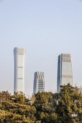 日坛公园