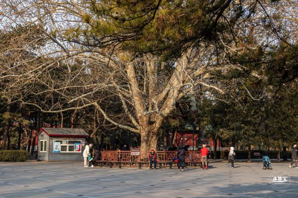 日坛公园