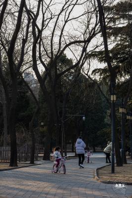 日坛公园