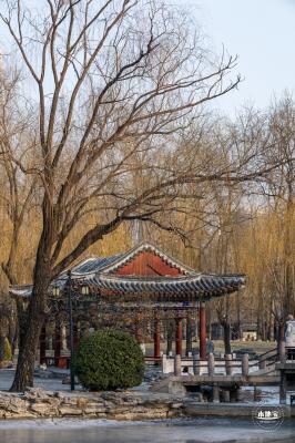 日坛公园