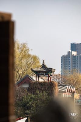 紫竹院公园