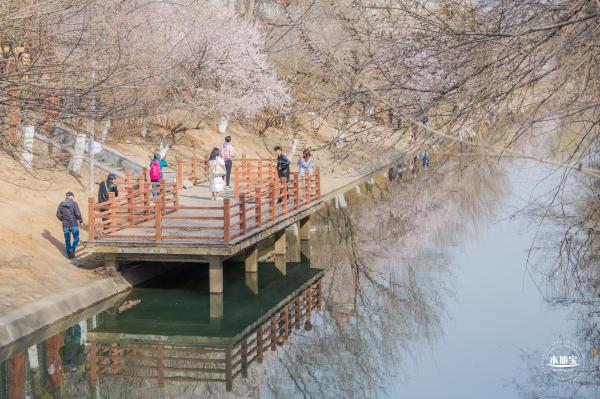 十里堡桃花