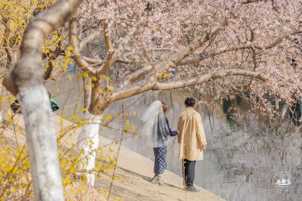 十里堡桃花