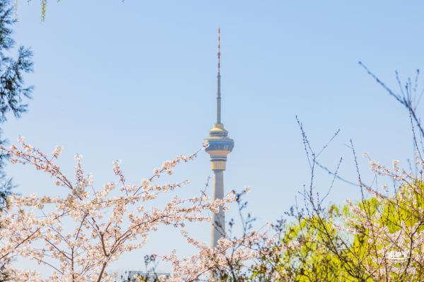 玉渊潭公园2023
