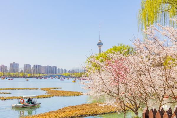 玉渊潭公园2023