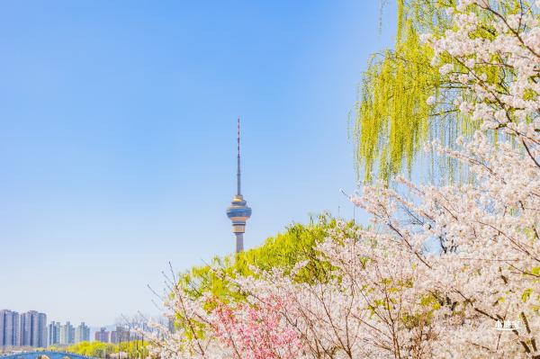 玉渊潭公园2023
