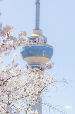 玉渊潭公园2023