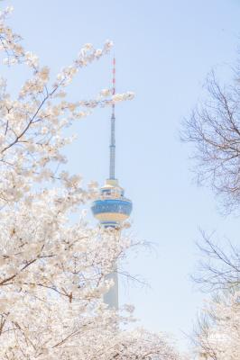 玉渊潭公园2023