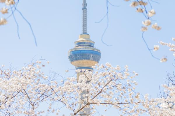 玉渊潭公园2023