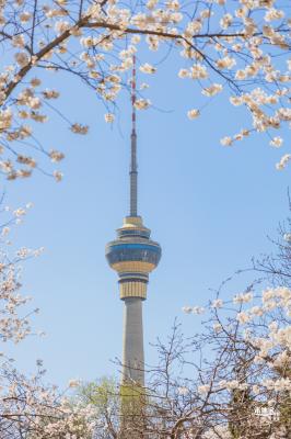 玉渊潭公园2023