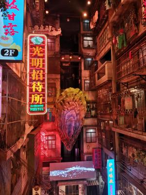 深圳文和友