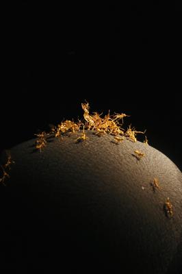 珠宝博物馆