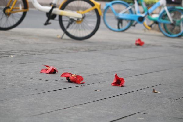 陵园西路木棉花