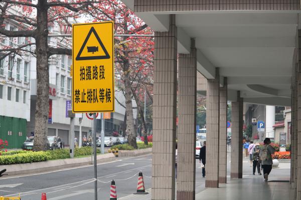 陵园西路木棉花