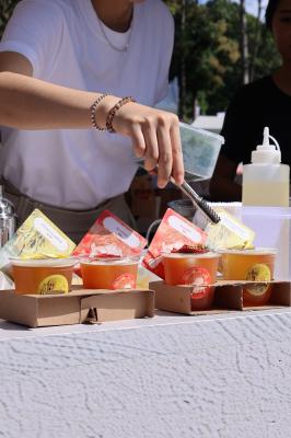 2025深圳簕杜鹃花展